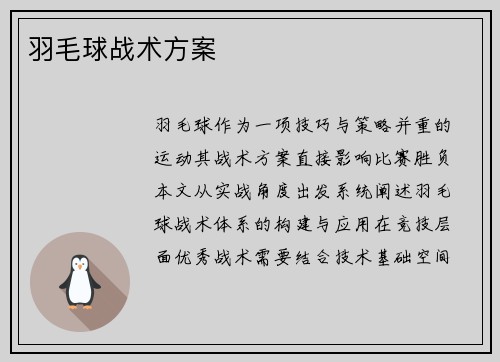 羽毛球战术方案
